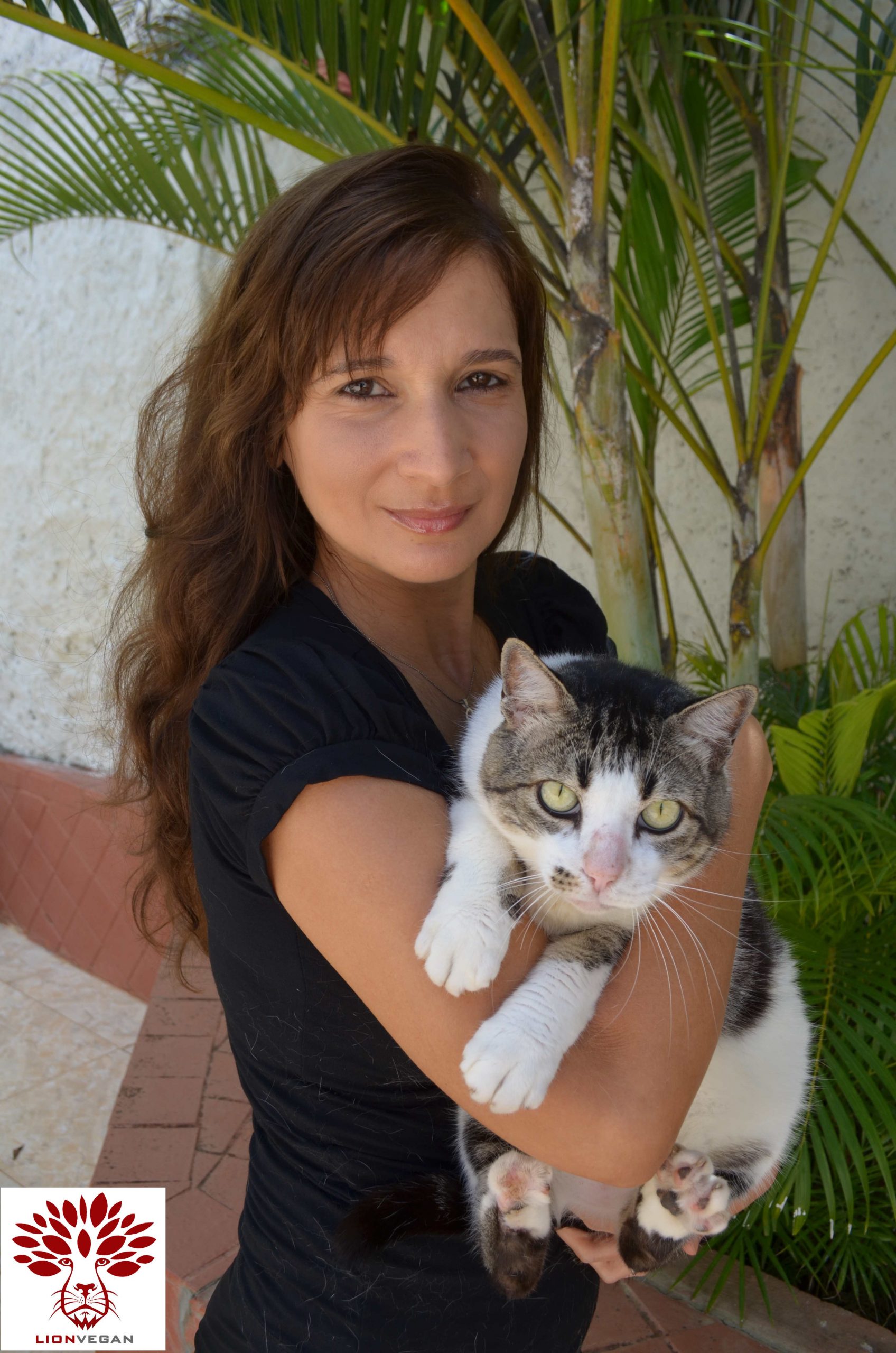 O Blog Katia Vegana aborda sobre Veganismo e Direitos dos Animais