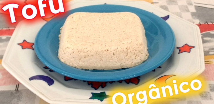 Como Fazer Tofu Gostoso – Simples, Fácil, Caseiro e Barato